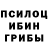 Псилоцибиновые грибы Psilocybe Maxwell Todd