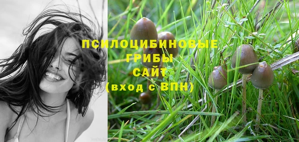 PSILOCYBIN Верхний Тагил