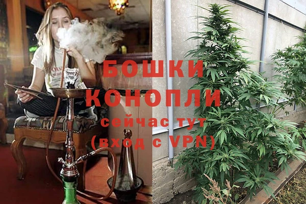 трава Верея