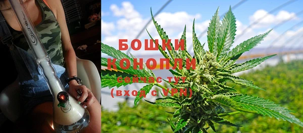 трава Верея