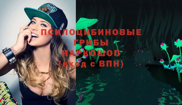 гашик Верхнеуральск