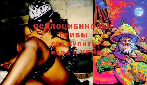 гашик Верхнеуральск