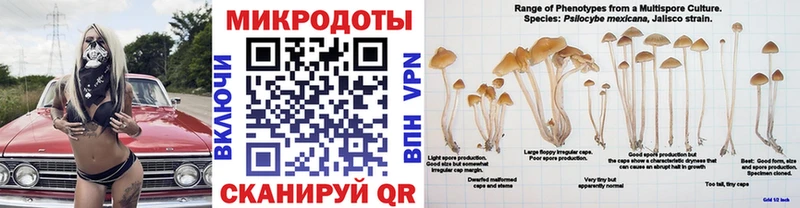 это состав  Челябинск  Псилоцибиновые грибы Cubensis  где купить наркоту 